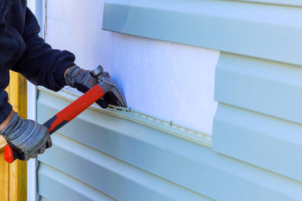 Best Vinyl Siding Installation  in Williamson, WV