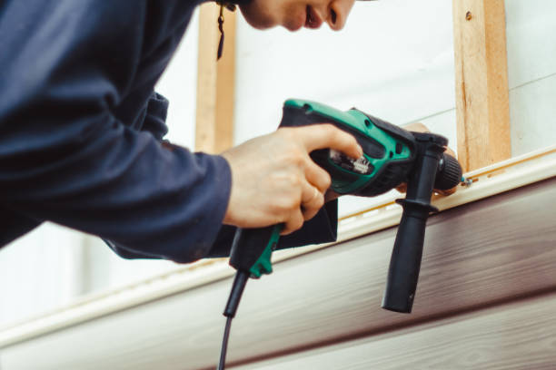 Best Storm Damage Siding Repair  in Williamson, WV